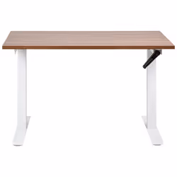 Adjustable Standing Desk 120 x 72 cm Dark Wood and White DESTINES