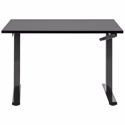 Adjustable Standing Desk 120 x 72 cm Black DESTINES