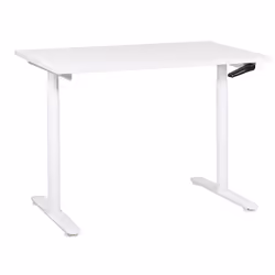 Adjustable Standing Desk 120 x 72 cm White DESTINAS