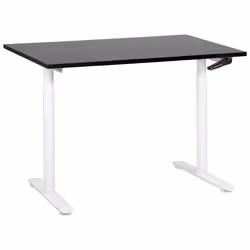 Adjustable Standing Desk 120 x 72 cm Black and White DESTINAS