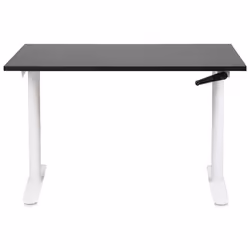 Adjustable Standing Desk 120 x 72 cm Black and White DESTINAS