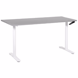 Adjustable Standing Desk 160 x 72 cm Grey and White DESTINAS