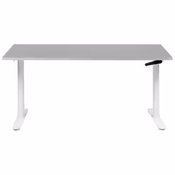 Adjustable Standing Desk 160 x 72 cm Grey and White DESTINAS