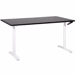 Adjustable Standing Desk 160 x 72 cm Black and White DESTINAS