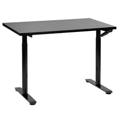 Adjustable Standing Desk 120 x 72 cm Black DESTINAS