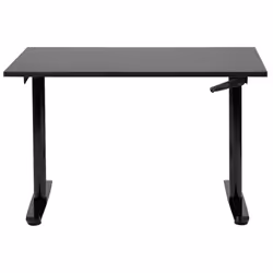 Adjustable Standing Desk 120 x 72 cm Black DESTINAS