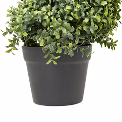 Artificial Potted Plant 98 cm BUXUS SPIRAL TREE - Additional view 4