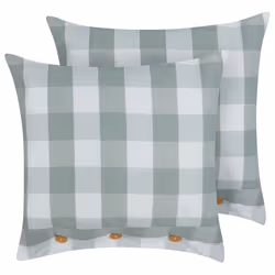 Set of 2 Decorative Cushions TAMNINE 45 x 45 cm Mint Green Checked