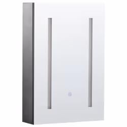 Bathroom Wall Mounted Mirror Cabinet LED CAMERON 40 cm 60 cm Black
