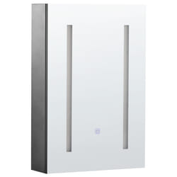 Bathroom Wall Mounted Mirror Cabinet LED CAMERON 40 cm 60 cm Black
