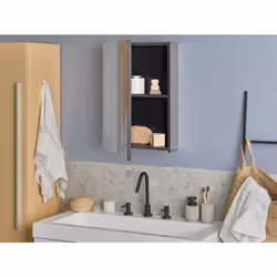 Bathroom Wall Mounted Mirror Cabinet LED CAMERON 40 cm 60 cm Black