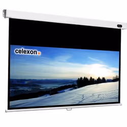 Celexon 1090056, 16:9, Black, White