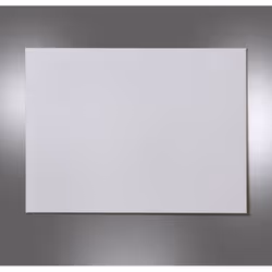 Celexon Expert projection screen 16:10