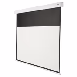 Celexon Professional Plus, Motorized, 109.2 cm (43"), 2.4 m, 135 cm, 16:9