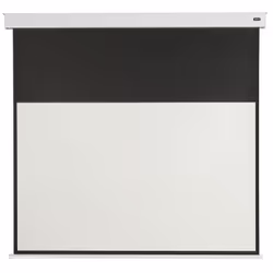 Celexon Professional Plus projection screen 109.2 cm (43") 16:9