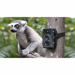 Technaxx Nature Wild Cam TX-69 Box Indoor & outdoor 1920 x 1080 pixels - Additional view 6