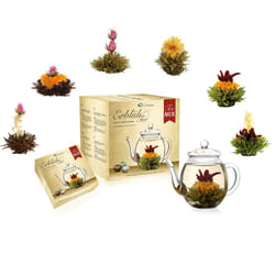 Creano Tea Flowers Mix Golden Gift Set Blooming Tea with Glass Teapot