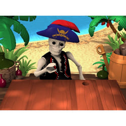 HMH Interactive Playmobil : Piraten - Volle Breitseite Standard German Nintendo DS