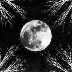 Alive AG Pale Moon, Heavy Metal, CD, Corpus Christii, Physical media, Folter Records