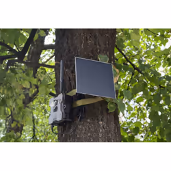 Technaxx 4G Wildcam TX-189 + Solar Panel - Additional view 8