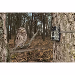 Technaxx TX-256 Indoor & outdoor 3840 x 2160 pixels Wall - Additional view 5