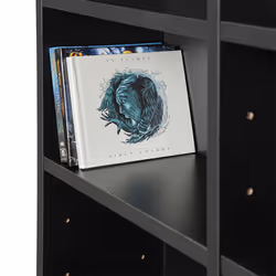 TecTake 401704 living room bookcase