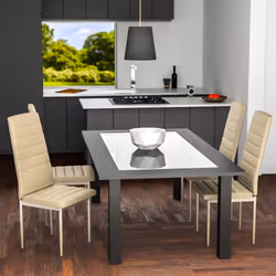 TecTake 401847 restaurant/dining chair
