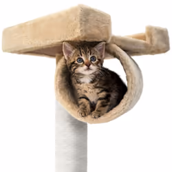 TecTake 401854 cat house - Additional view 7