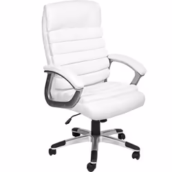 TecTake 402151, 600 mm, 660 mm, 16.3 kg, Faux leather, Polyester, Polyurethane, Steel, White