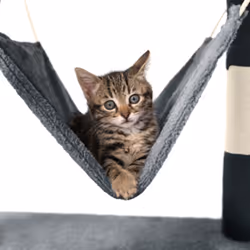 TecTake 402275 cat house - Additional view 4