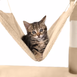 TecTake 402279 cat house - Additional view 4
