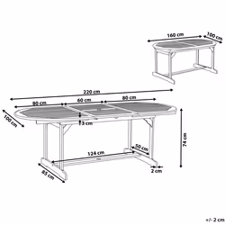 Extending Garden Dining Table MAUI 160/220 cm 100 cm Acacia Wood Light Brown