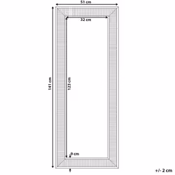 Wall Mirror CASSIS 51 cm 141 cm Gold