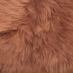 Sheepskin Rug Golden Brown ULURU