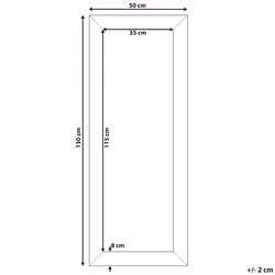 Wall Mirror DERVAL 50 cm 130 cm Silver
