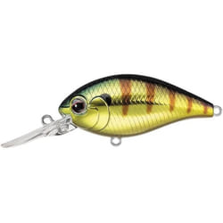 Daiwa Evergreen Cr Crank 10ft 374 Oki Gold