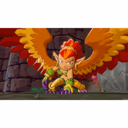 ININ Games Wonder Boy: Asha In Monster World