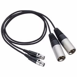 Zoom TXF-8, Female, XLR, Male, Black
