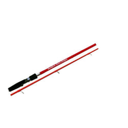 Tenryu Shore Dragon 11' 6" 20-80g