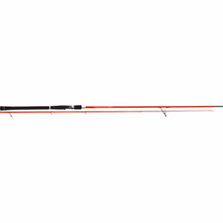Tenryu Dragon Express 9' 6" 20-60g