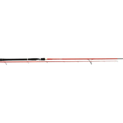 Tenryu Dragon Express 9' 6" 20-60g