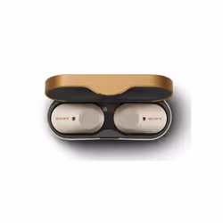 Sony WF-1000XM3 Wireless Noise-Cancelling Earbuds - Silver Version