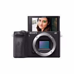 Sony Sony A6600 Black (Body Only)