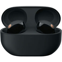 Sony WF-1000XM5 Truly Wireless Noise Canceling Earbuds - Black