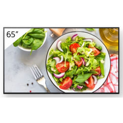 Sony FW-65BZ35L Signage Display Digital signage flat panel 165.1 cm (6