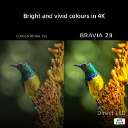 Sony U.K. K75S25M2PB.UKA TV 190.5 cm (75") 4K Ultra HD Smart TV Wi-Fi Black