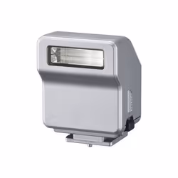 Panasonic DMW-FL70-S, 4 s, 25 g, Compact flash