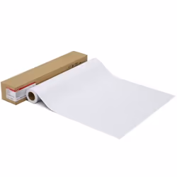1107C CANON PHOTO PAPER PRO PLATINUM 300gsm - (24")