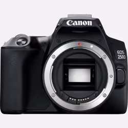Canon EOS 250D, 24.1 MP, 6000 x 4000 pixels, CMOS, 4K Ultra HD, Touchscreen, Black