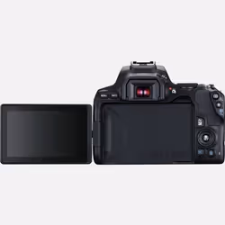 Canon EOS 250D SLR Camera Body 24.1 MP CMOS 6000 x 4000 pixels Black